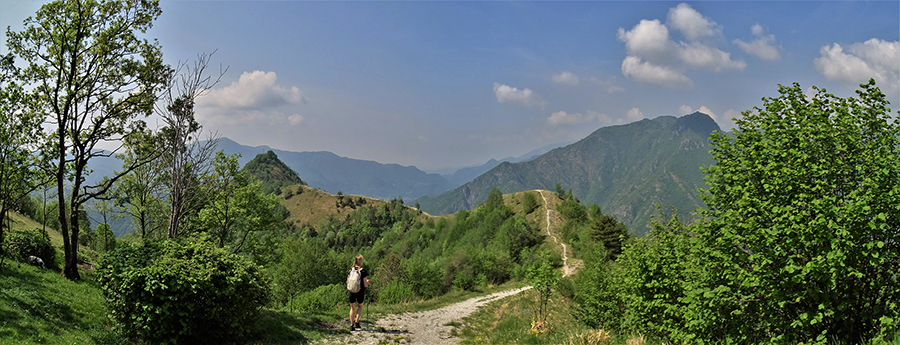 Vista panoramica sulla linea taglia-fuoco e verso Zucco, Pizzo di Spino, Canto Alto